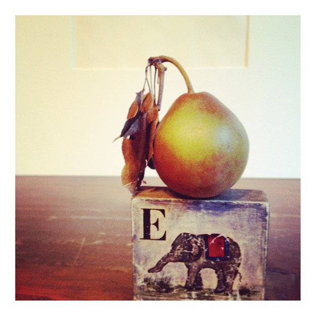 pear-and-elephant-copy.jpg.jpe