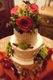 15384-JanetAndrewPicture-weddingDISK2047.jpg.jpe