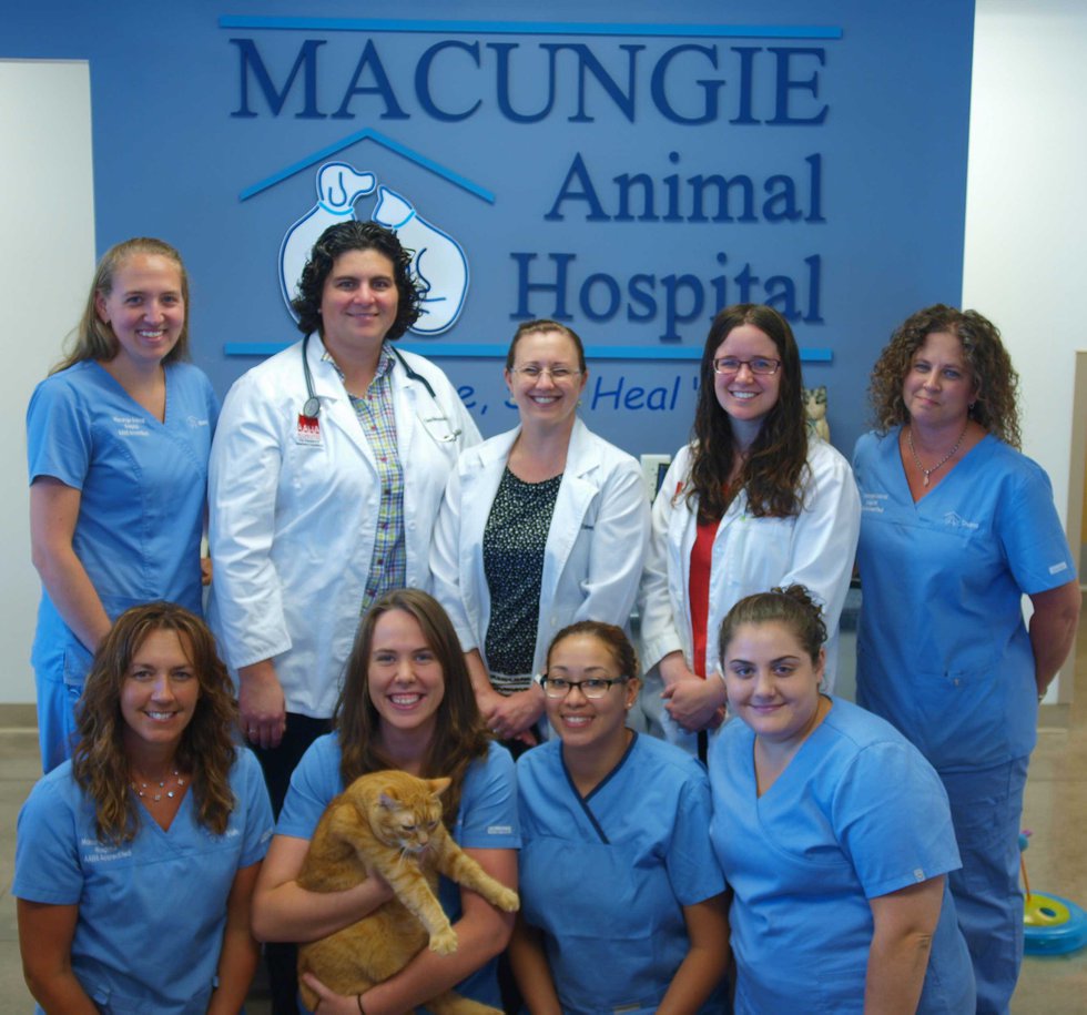 Macungie Animal Hospital - Lehigh Valley Style