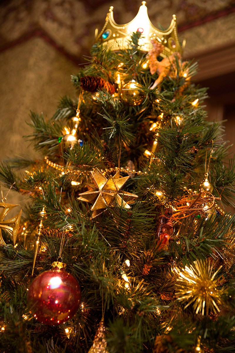 Christmas-Trees-19.jpg