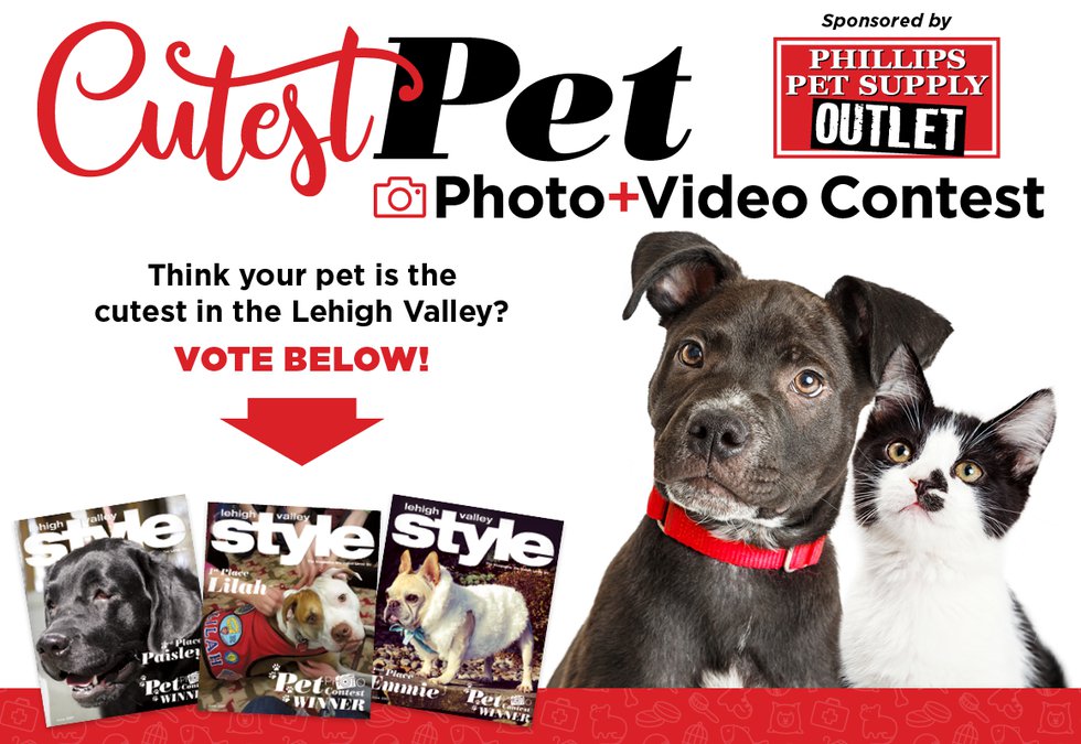 lehigh valley style pet contest