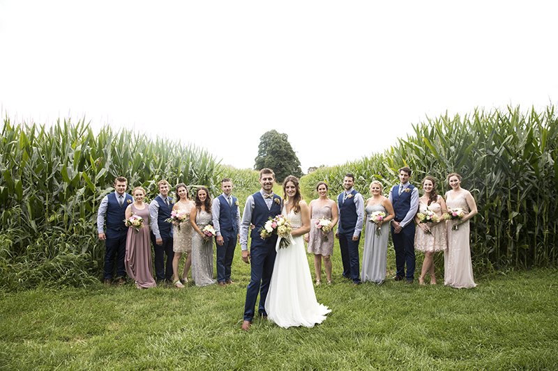 Group photo of bridal party in corn field