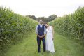 Photo of bride and groom in cornfield