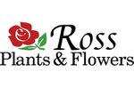 ross plants and flowers