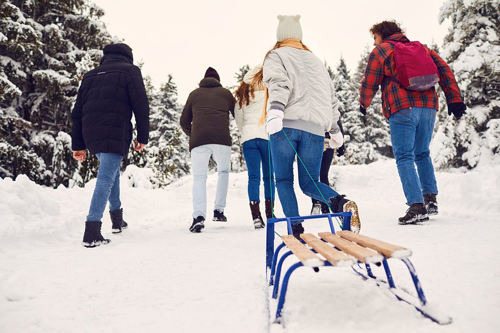 friends-sledding-snow-scene-web.jpg