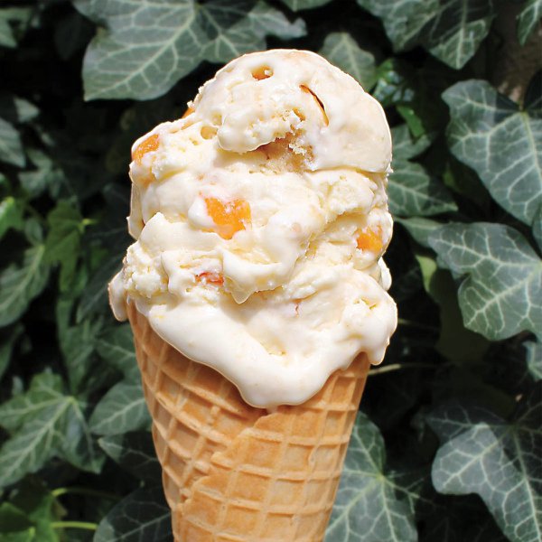 best-of-food-ice-cream-cone.jpg