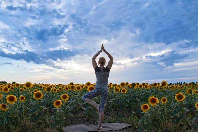 sunflower-yoga-hero.jpg