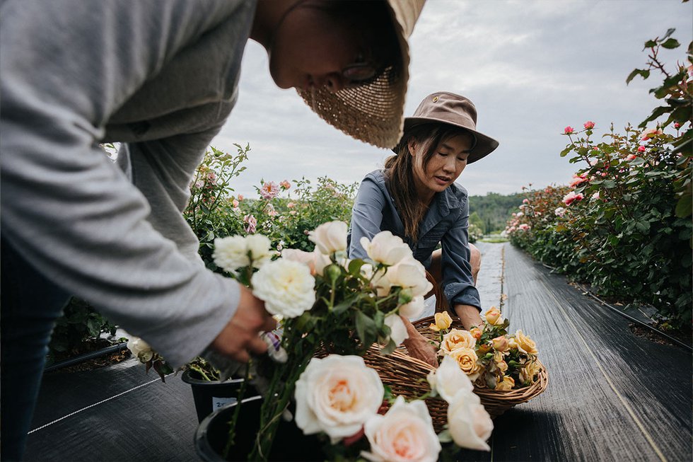 LVSMAY24_FlowersFarmers_FloresTemporis_2.jpg