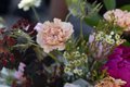 LVSMAY24_FlowersFarmers_Fenimore&Rutland_2.jpg