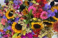 LVSMAY24_FlowersFarmers_BeeWellBlooms_2.jpg