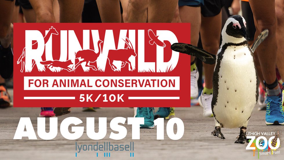 Run Wild FB event  - 1