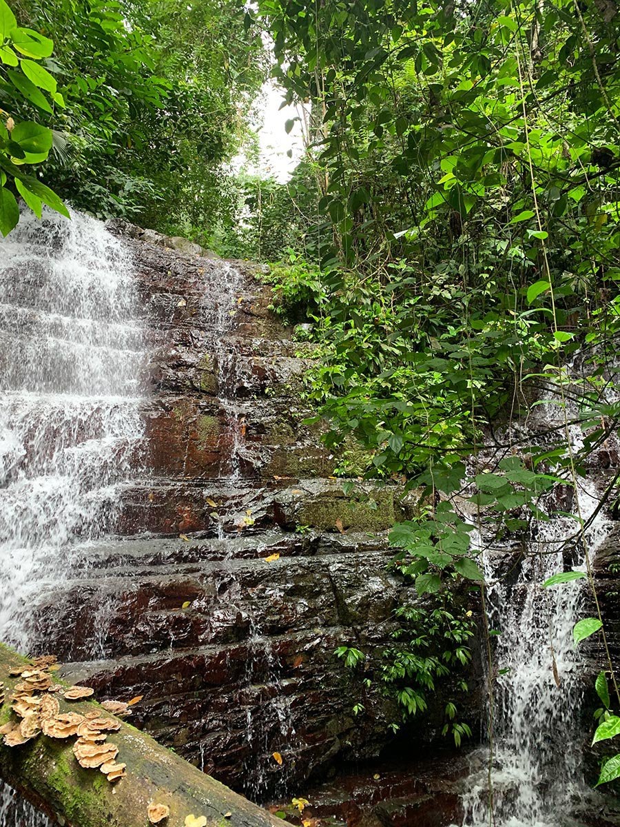 bailey-taylor-waterfall.jpg