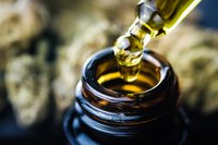 LVSOCT24_5Things_CBDOil.jpg