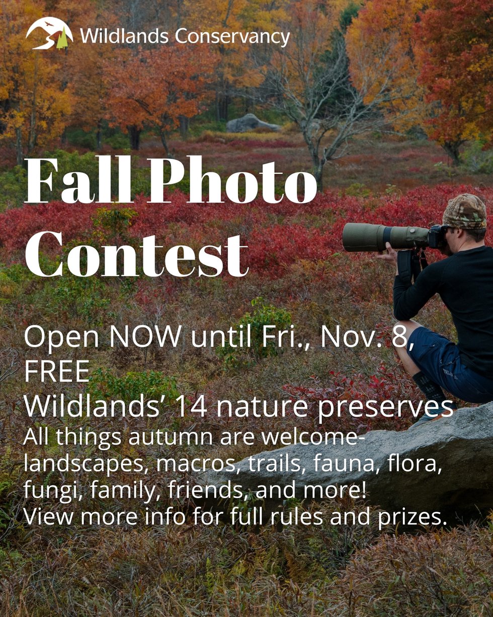 2Fall Photo Contest!.jpg