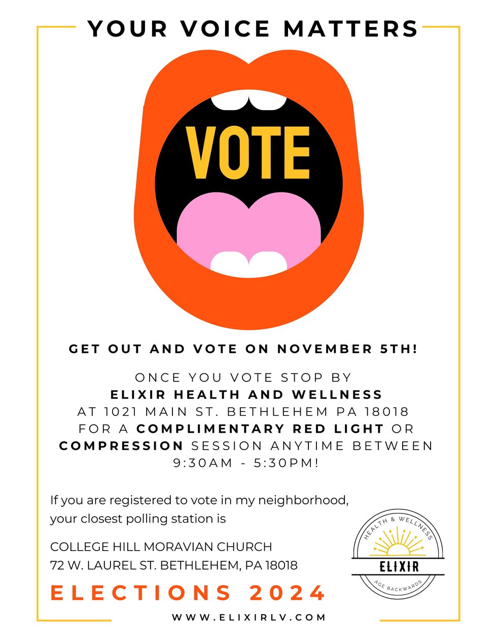 Go Vote Elixir Flyer.jpg