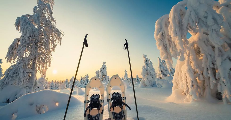 Snowshoe Stroll.jpg