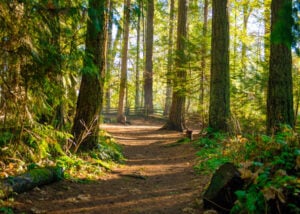 Spring walks and hikes